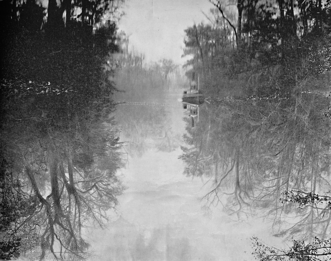 Deep Creek, Florida, 1897. alkotó: Unbekannt