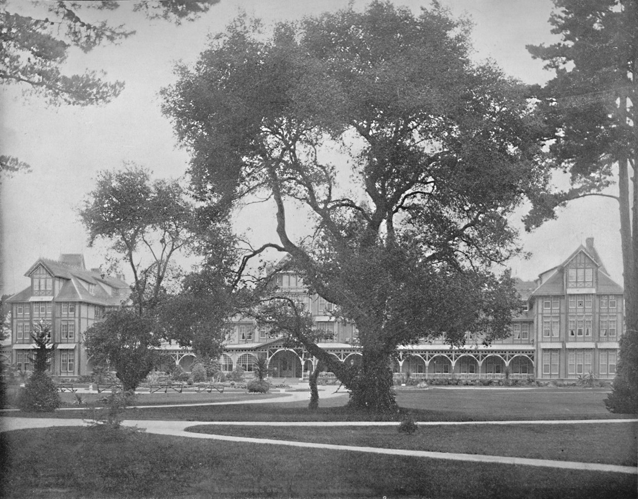 Del Monte, Monterey, Kalifornia, 1897. alkotó: Unbekannt