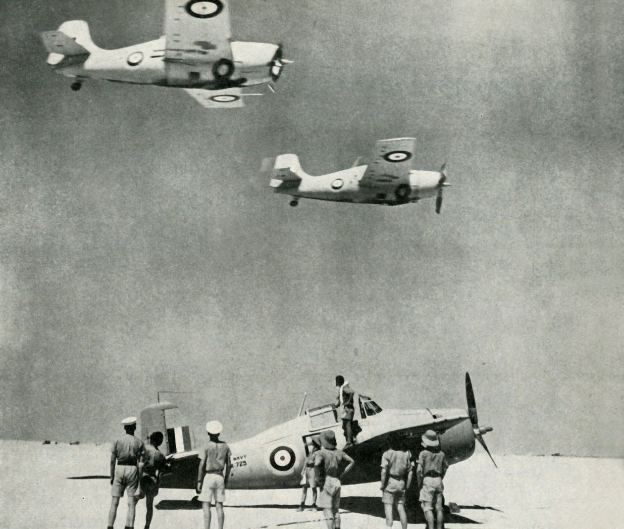 Sivatagi osztag – a Flotta Air Arm repülőgépei a második világháború alatt, 1943. alkotó: Unbekannt