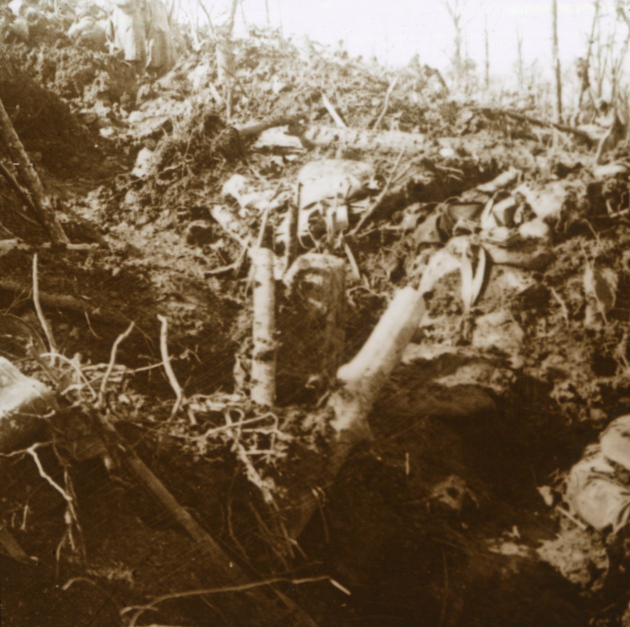 Lerombolt menedékhely, Les Éparges, Észak-Franciaország, 1915. alkotó: Unbekannt
