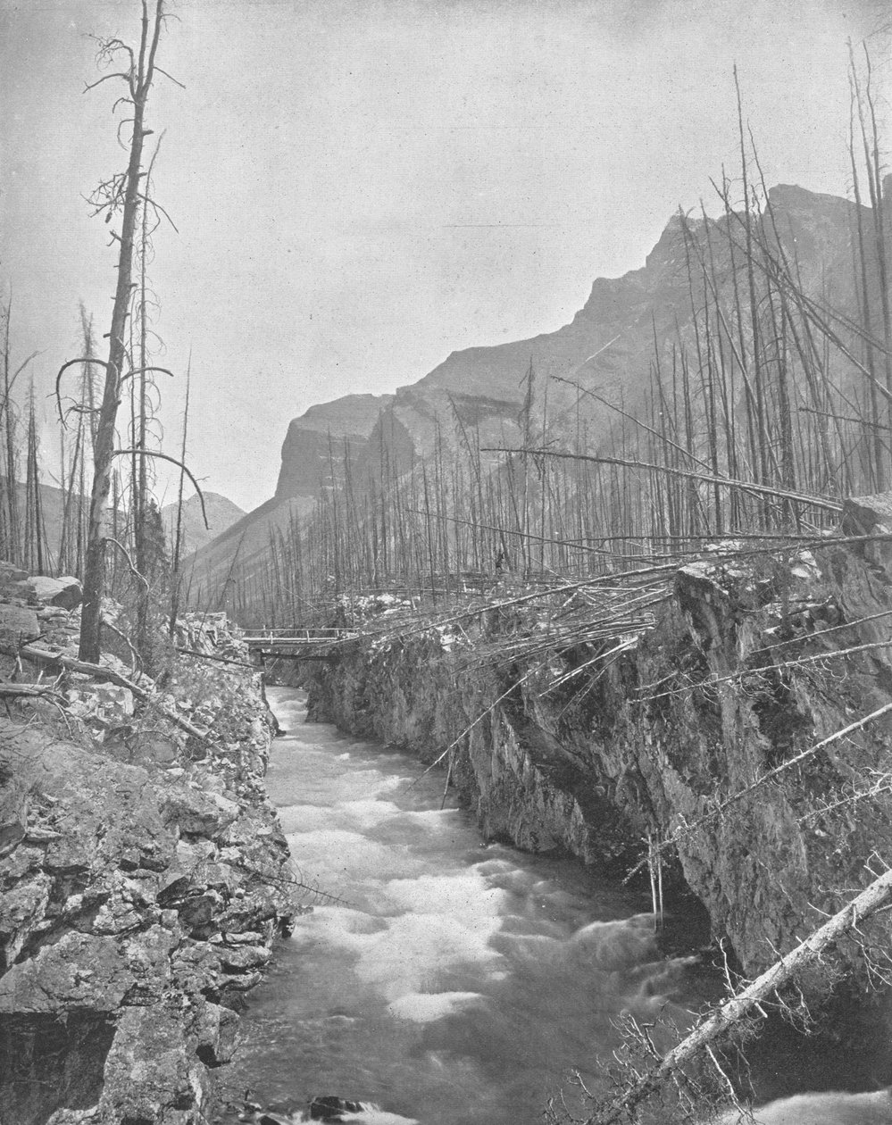 Devils Canyon, Banff, North West Territories, Kanada, 1900. alkotó: Unbekannt