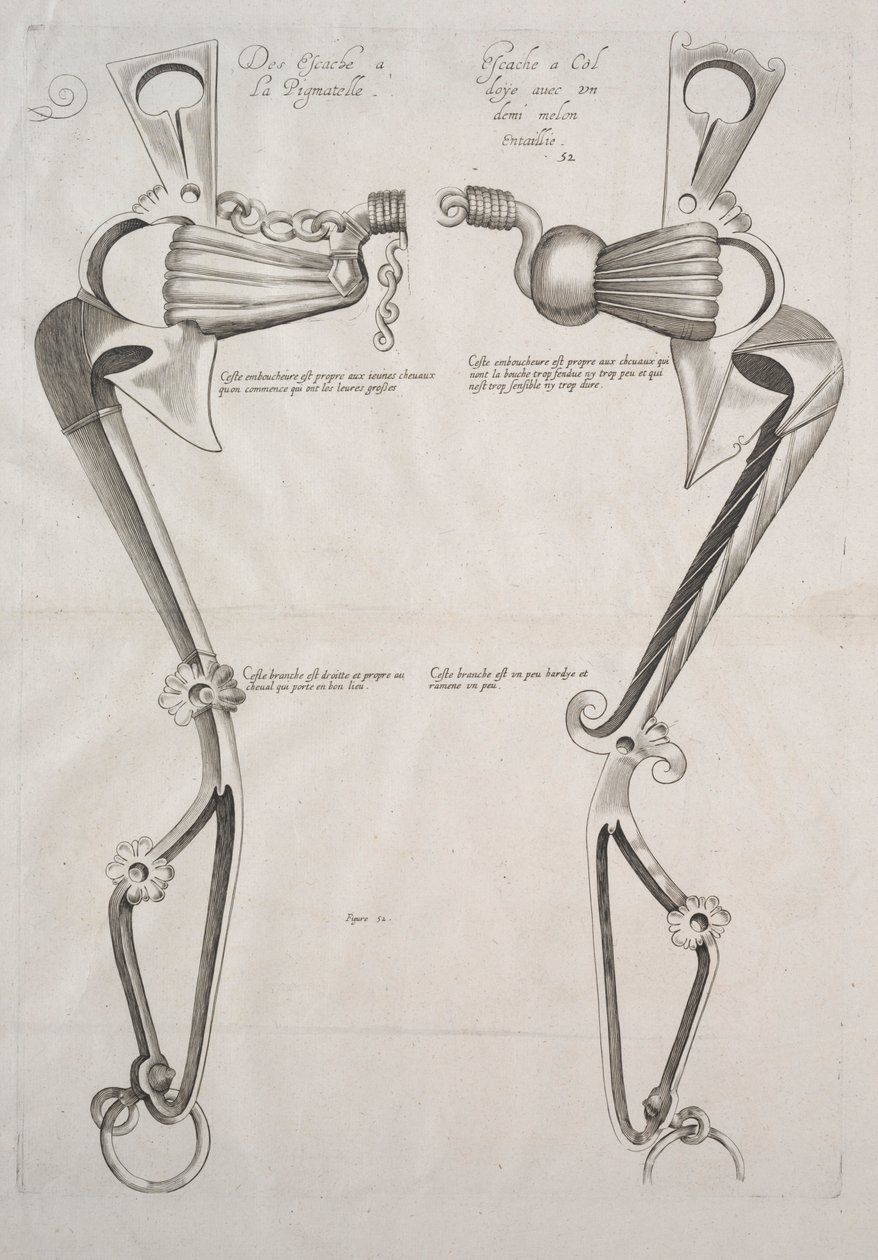 Horses Bit diagramja, 1700-as évek. alkotó: Unbekannt