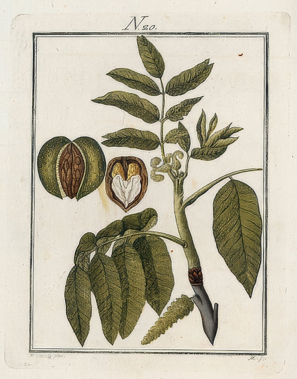 A dió. A világ képekben. 3. kötet. Építő. Bécs. 1790 alkotó: Unbekannt