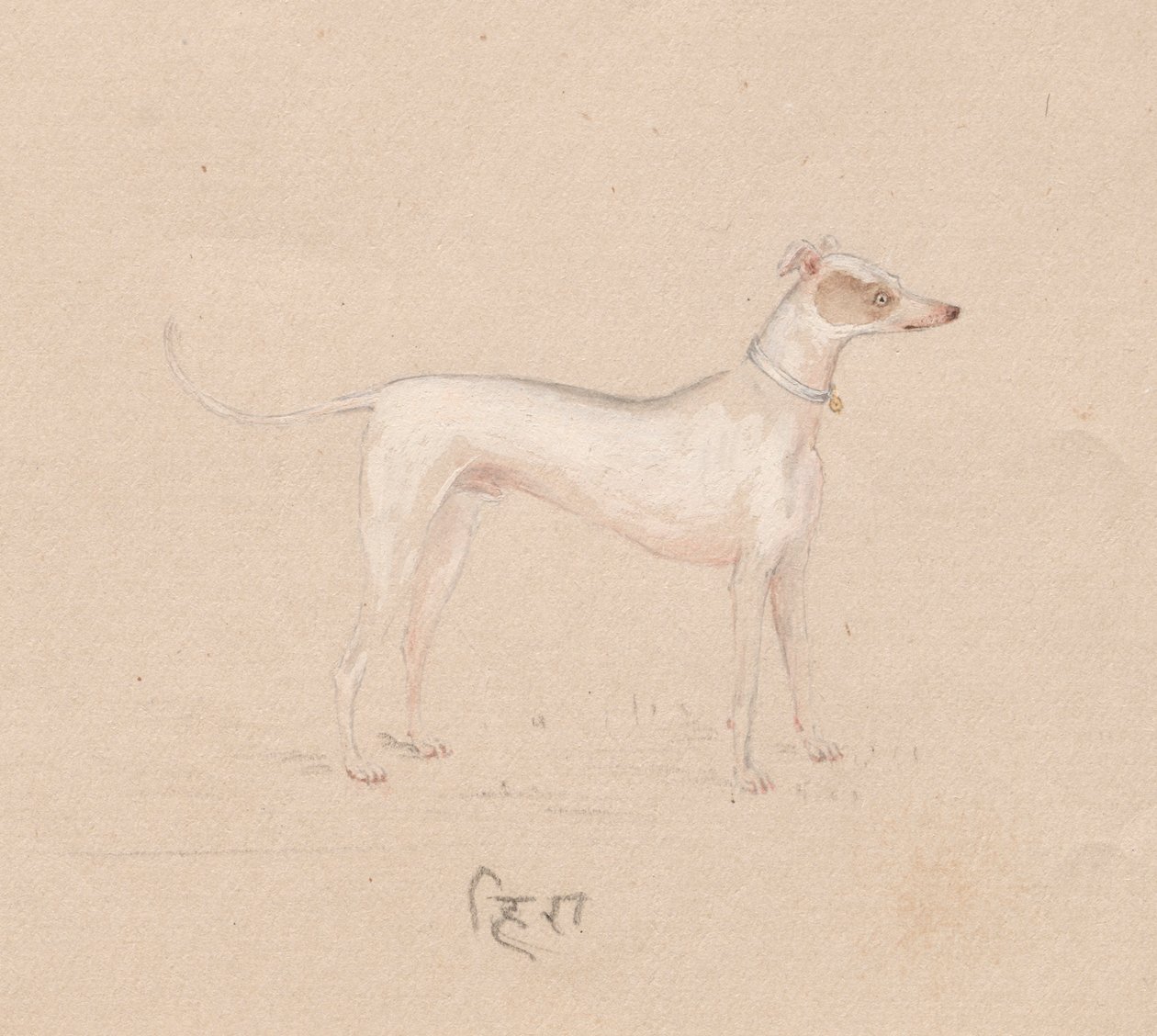 Kutya, 1800-as évek. alkotó: Unbekannt