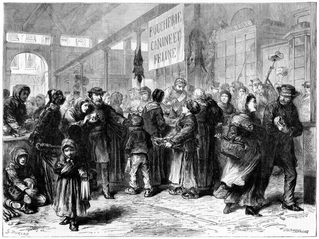 Kutya- és macskahús hentes Párizsban, francia-porosz háború, 1871 alkotó: Unbekannt