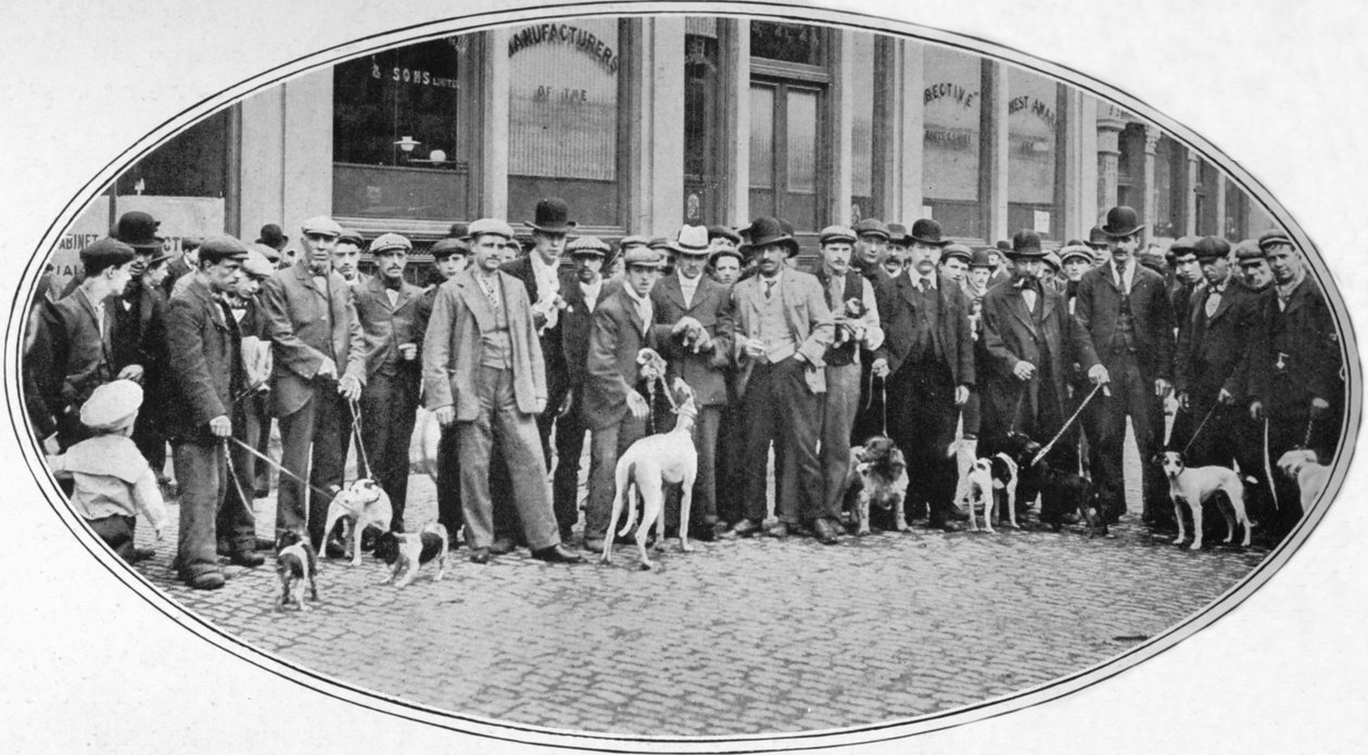 Kutyaeladók és -vásárlók az East Endben, London, 1900 1901 alkotó: Unbekannt