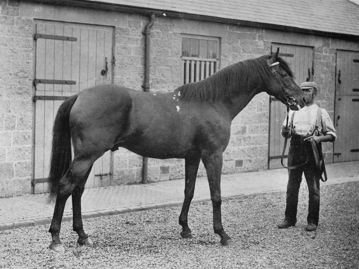 Donovan, 1886-1905, 1911 alkotó: Unbekannt