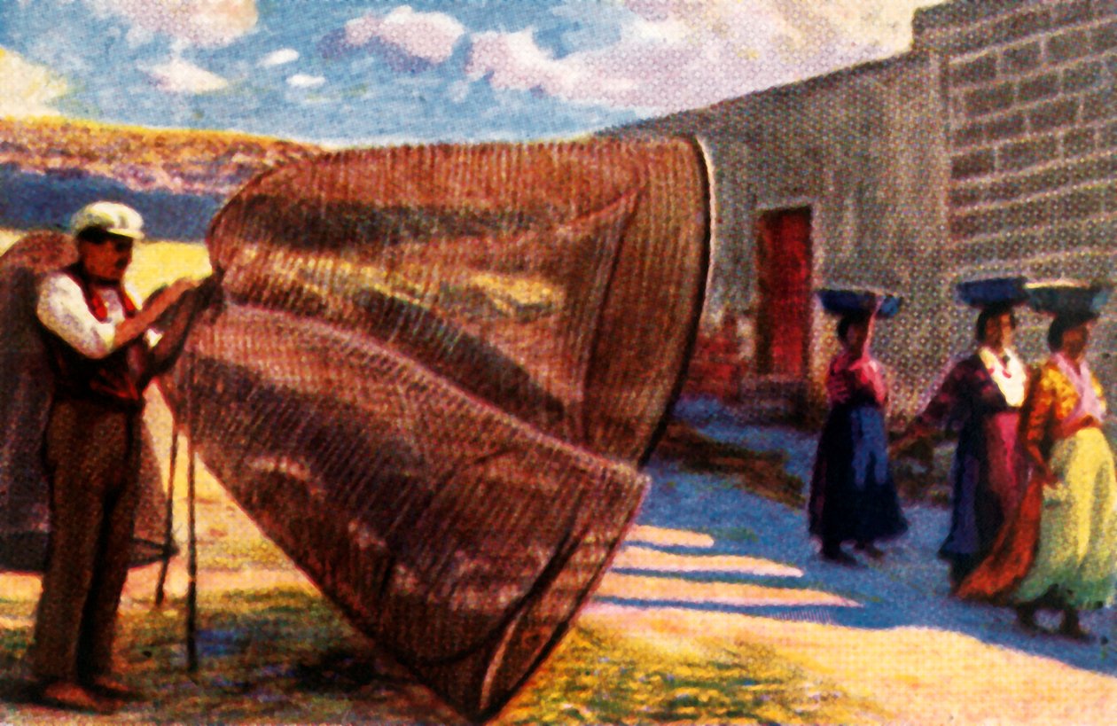 A hálók szárítása, Málta, 1928. alkotó: Unbekannt