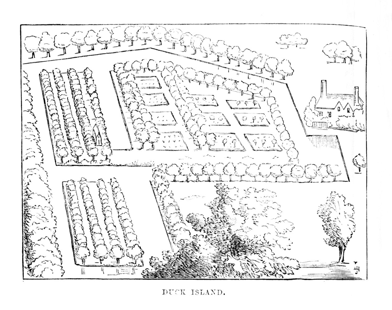 Kacsa-sziget, 1870 alkotó: Unbekannt
