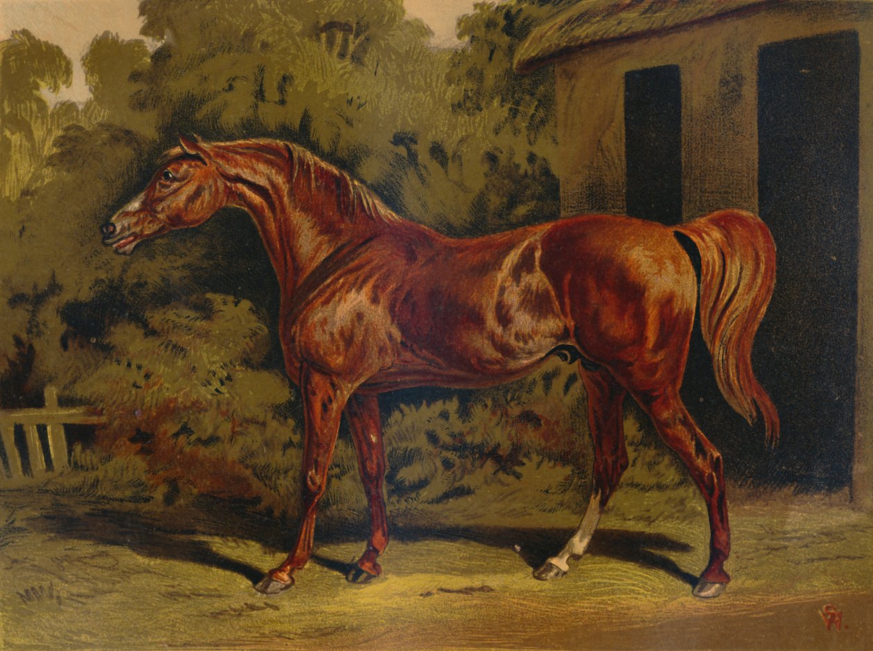Eclipse, 1879. alkotó: Unbekannt
