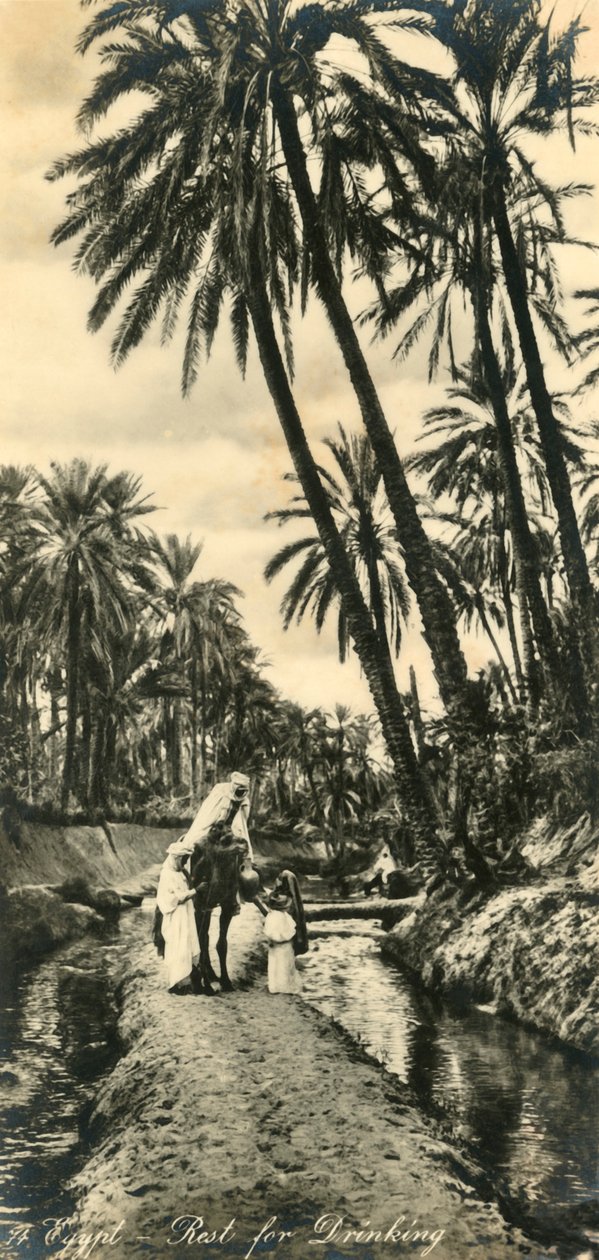 Egyiptom – Pihenj az iváshoz, c1918-c1939. alkotó: Unbekannt