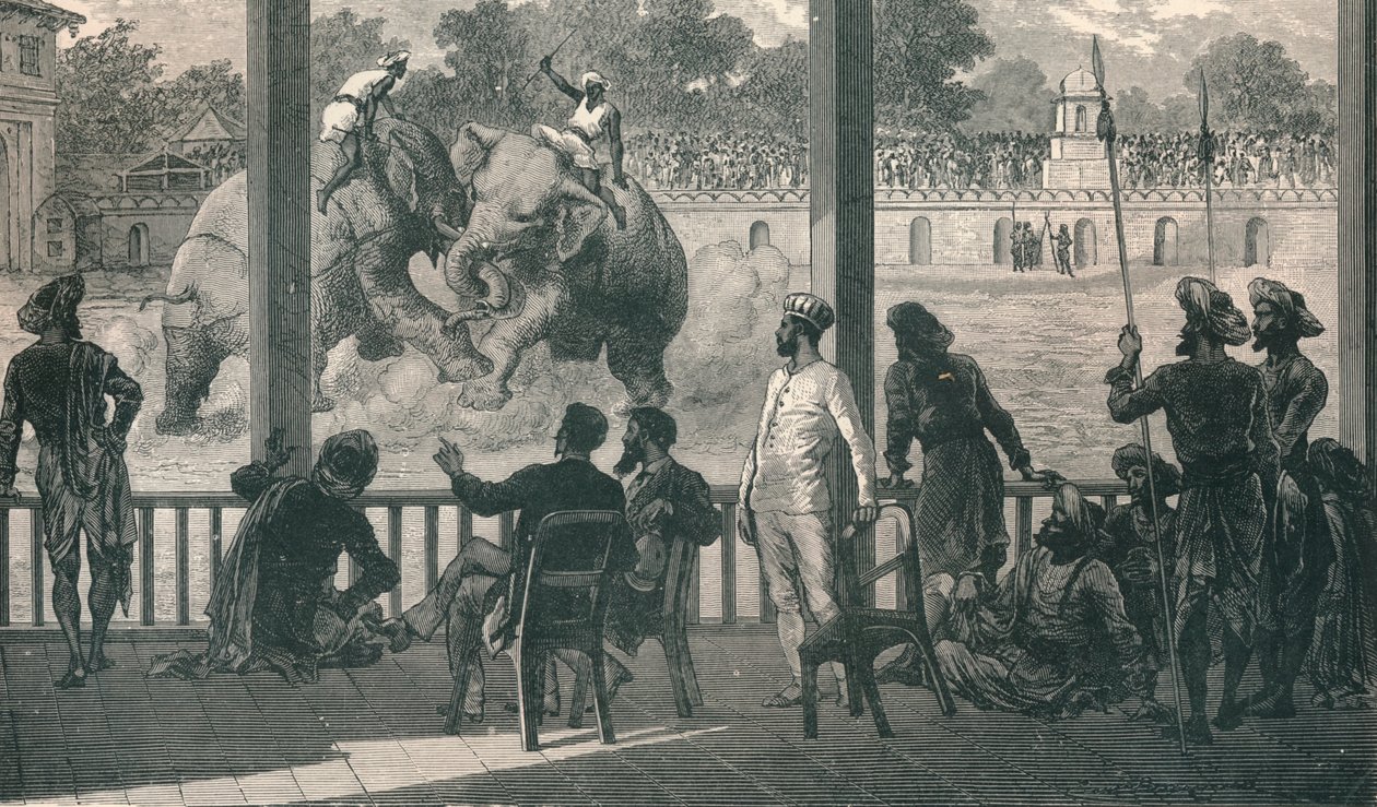 Elefántcsata Barodában, 1896 alkotó: Unbekannt