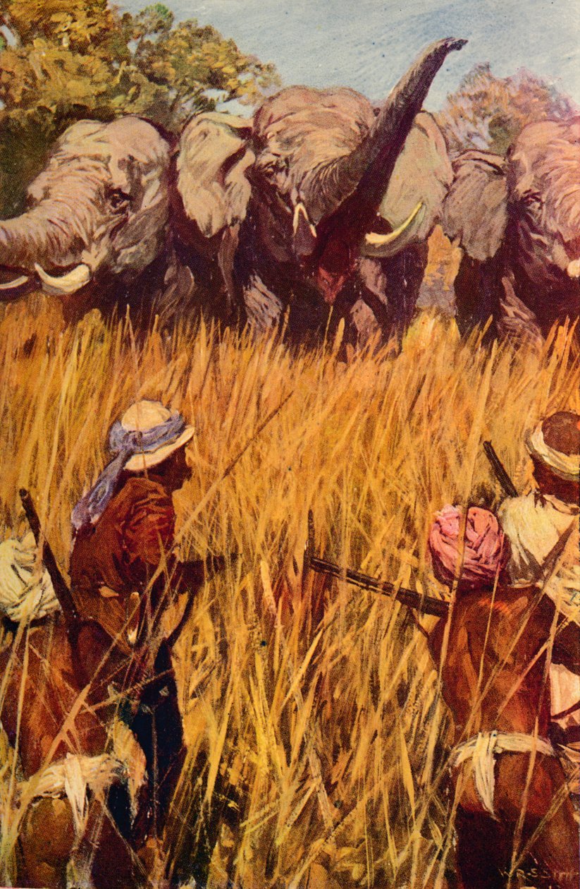Elephants in Chase, c1850 c1912 alkotó: Unbekannt