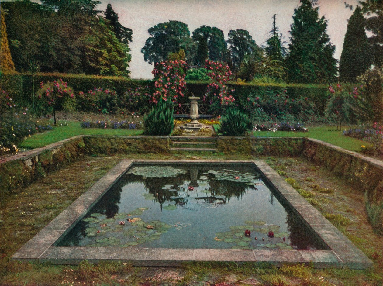 Zárt kert és liliommedence a Gatton Parkban, Surreyben, 1914 alkotó: Unbekannt