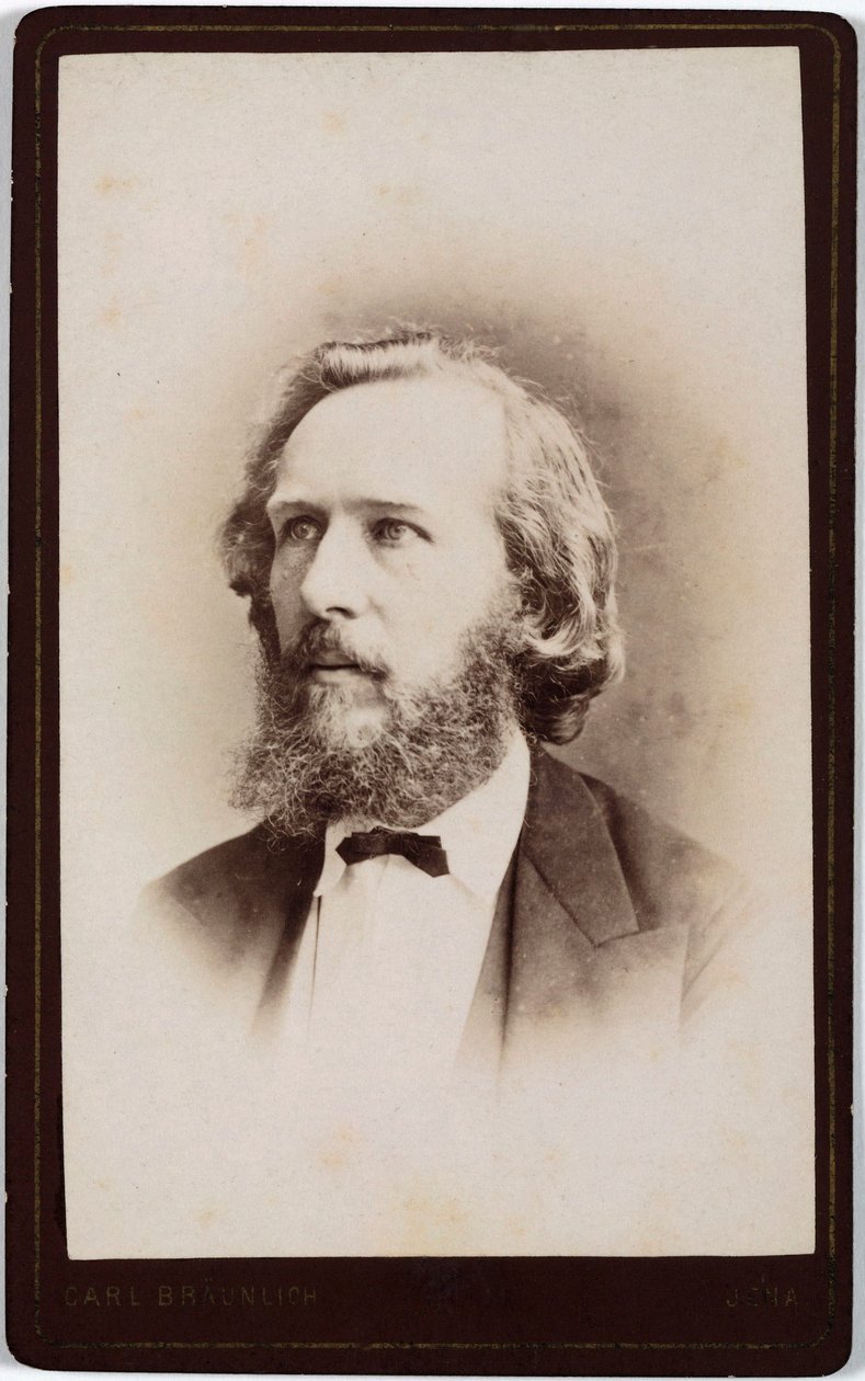 Ernst Haeckel német természettudós, 1860-as évek alkotó: Unbekannt