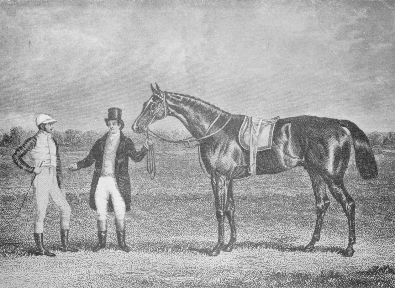 Euklidész, második a St. Legerben, 1839, XII Károllyal vívott holtverseny után, 1839, 1911 alkotó: Unbekannt