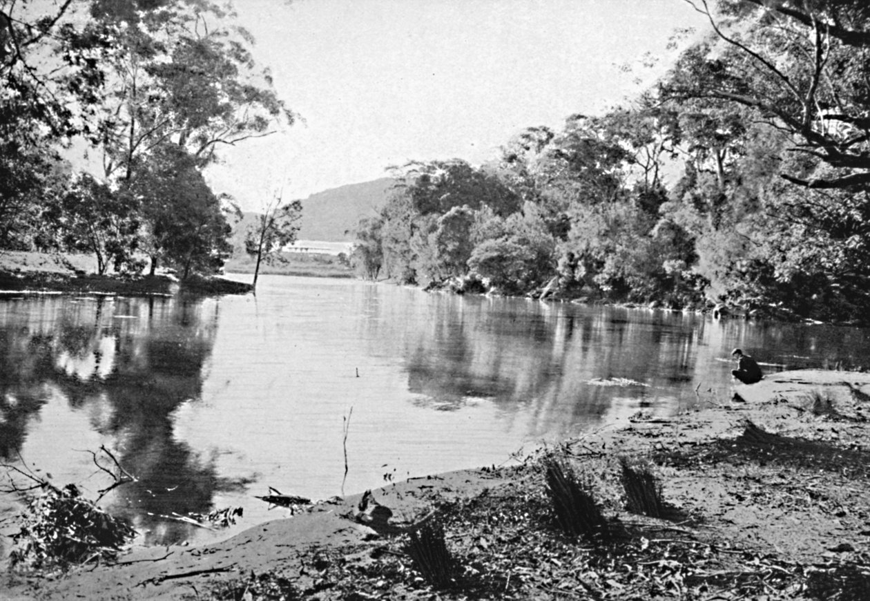 Evening Shadows, Nemzeti Park, 1900. alkotó: Unbekannt