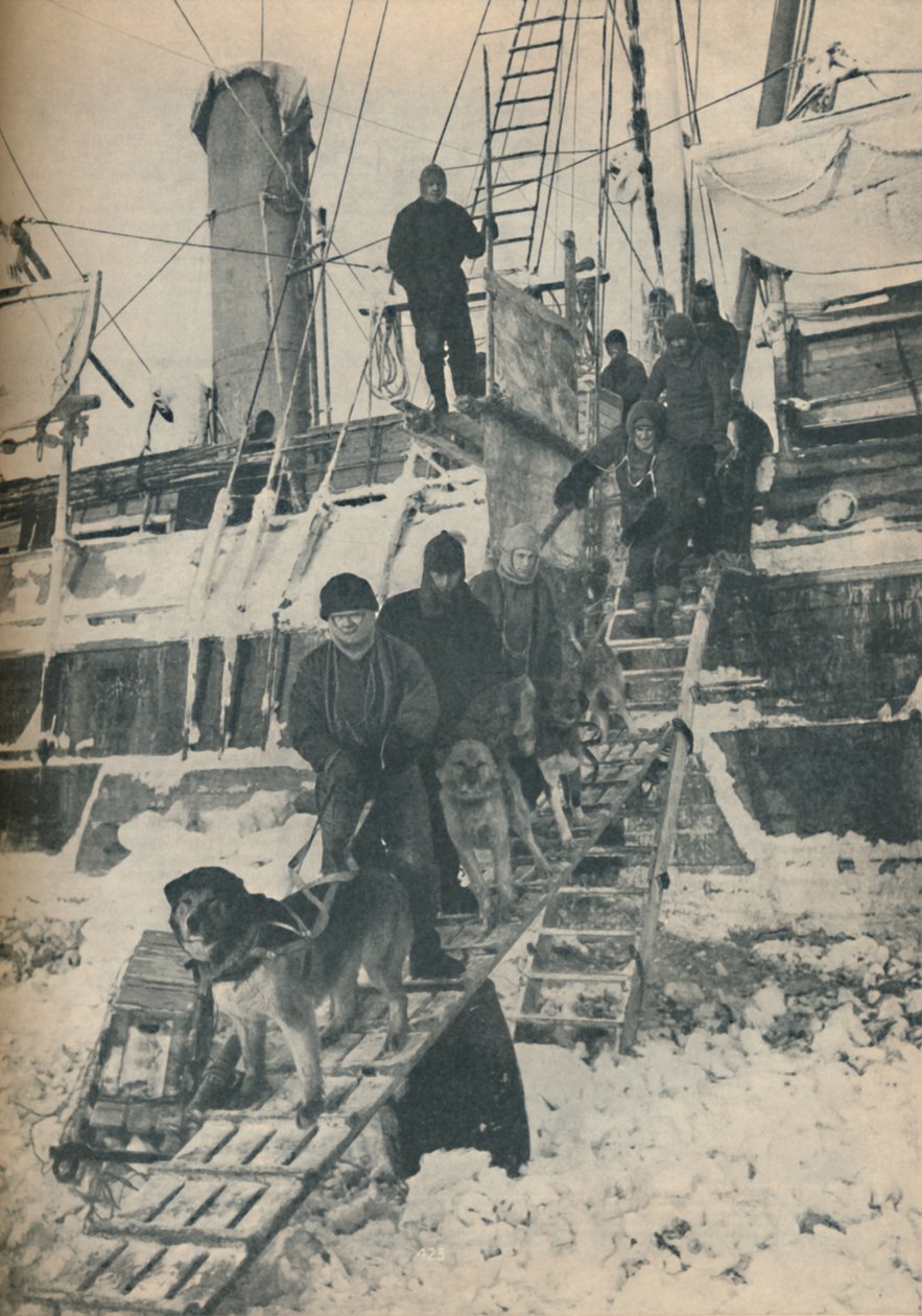 A kutyák gyakorlatozása, 1936 alkotó: Unbekannt