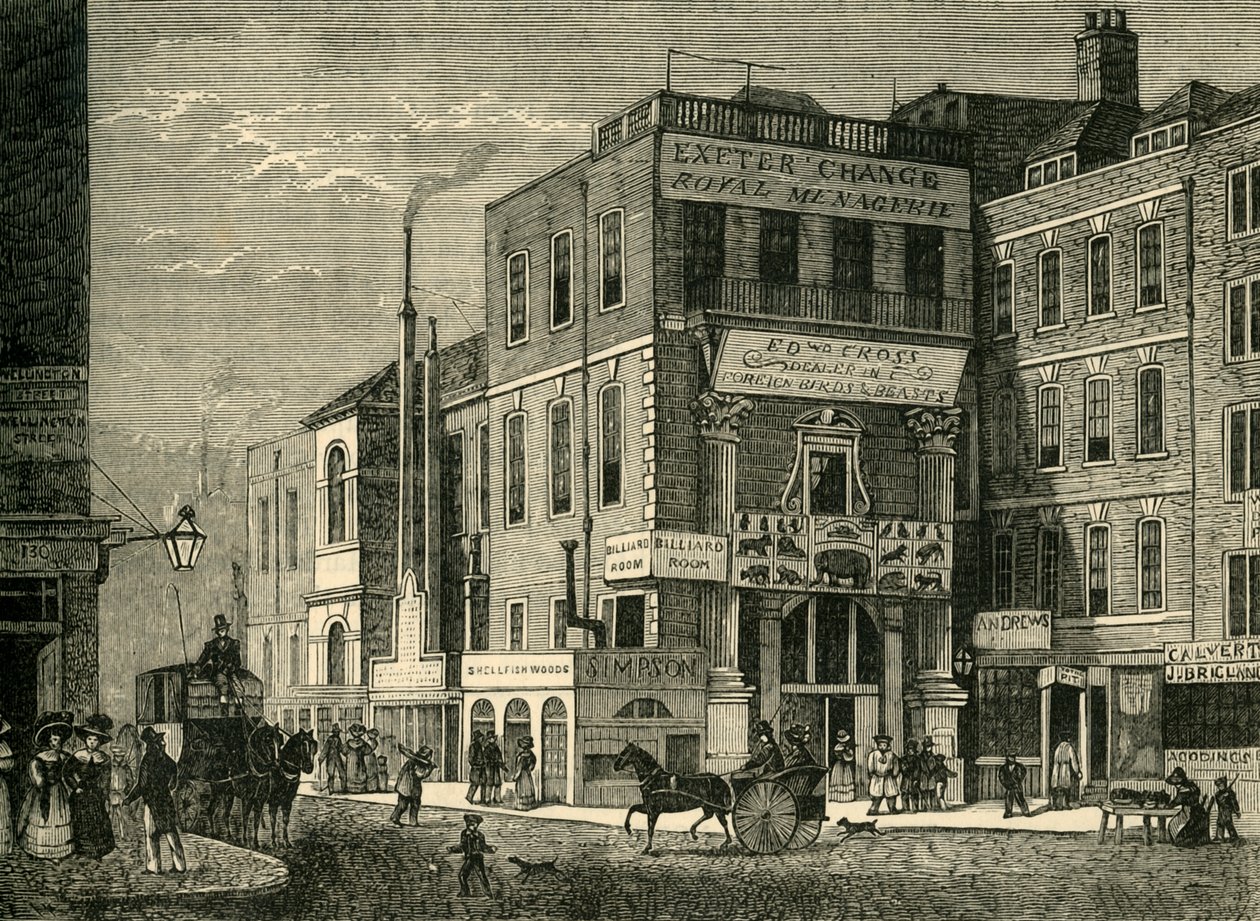 Exeter változás 1826-ban, 1881-ben. alkotó: Unbekannt