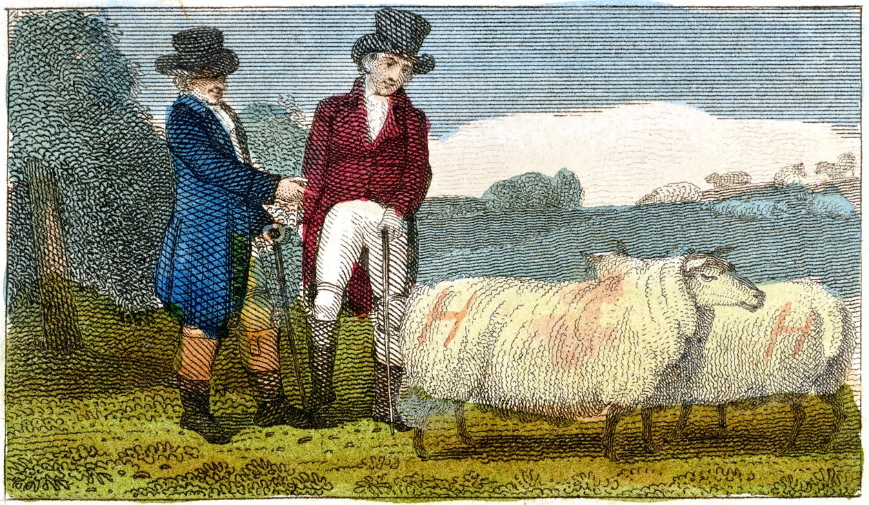 A gazdák a Dishley New Leicester juhokról tárgyalnak, 1822 alkotó: Unbekannt