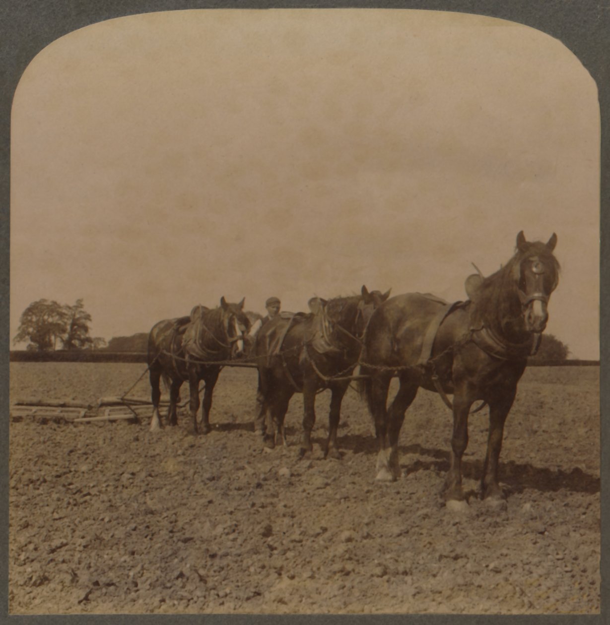 Gazdálkodás Angliában – Harrowing the Land, 1909. alkotó: Unbekannt