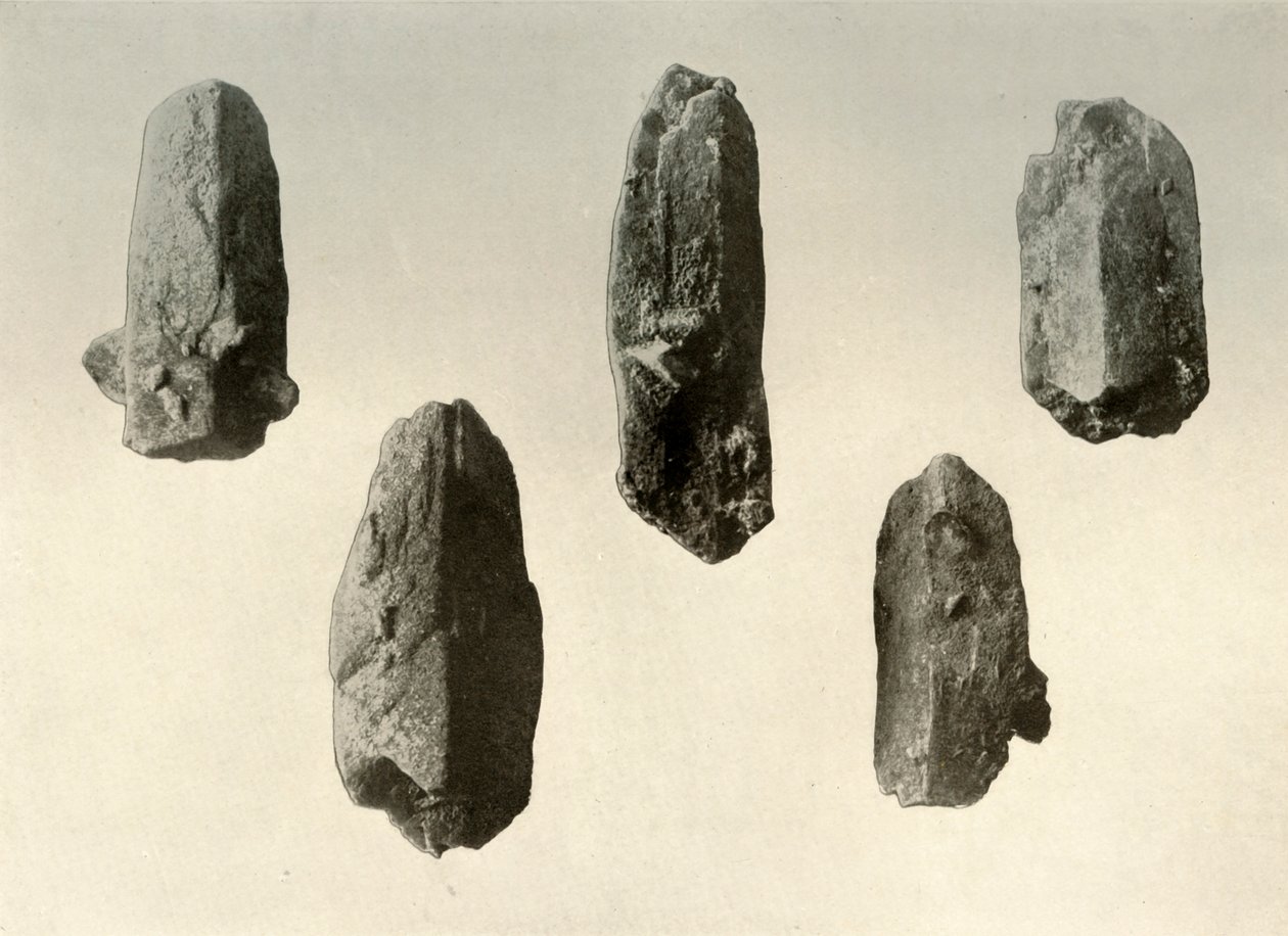 Földpát kristályok az Erebus-hegy csúcsáról, természetes méret, 1909 alkotó: Unbekannt