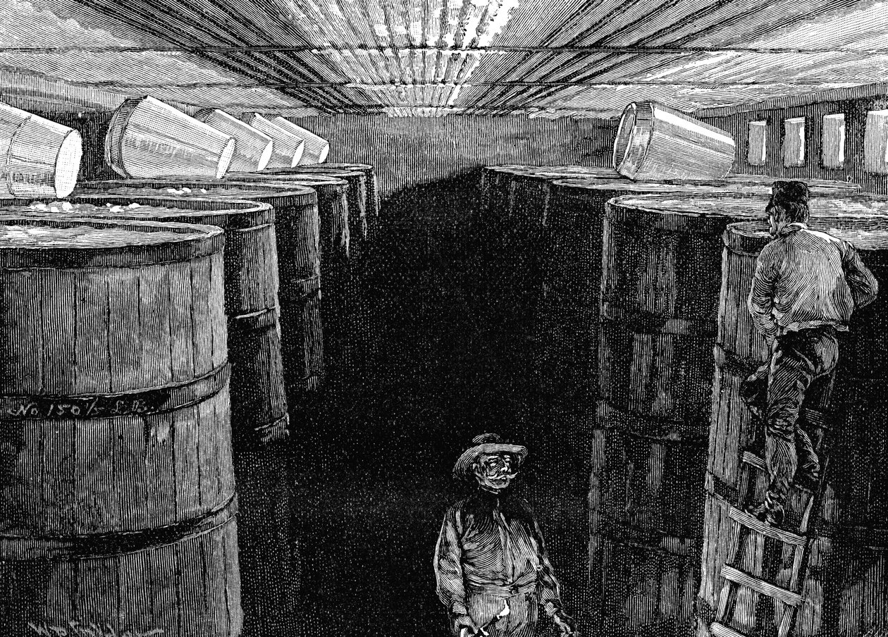 Erjesztő pince egy amerikai sörgyárban, 1885 alkotó: Unbekannt