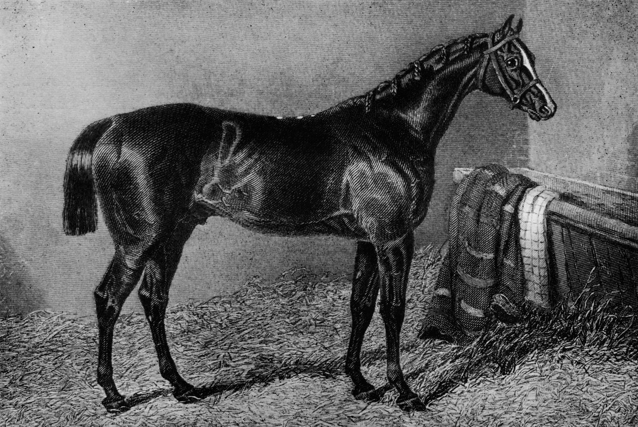 Kurvafia, 1812-1835, 1911 alkotó: Unbekannt