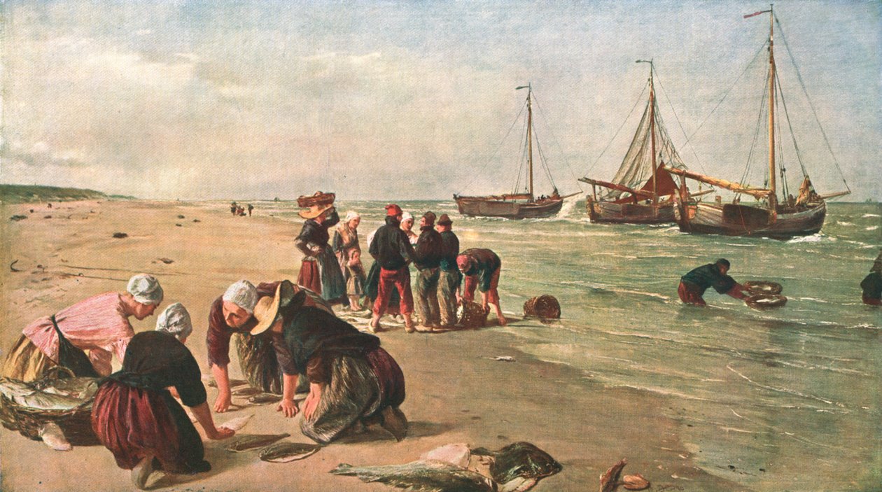 Hal a Dogger Bankból, Scheveningen, Hollandia, 1870, c1902. alkotó: Unbekannt