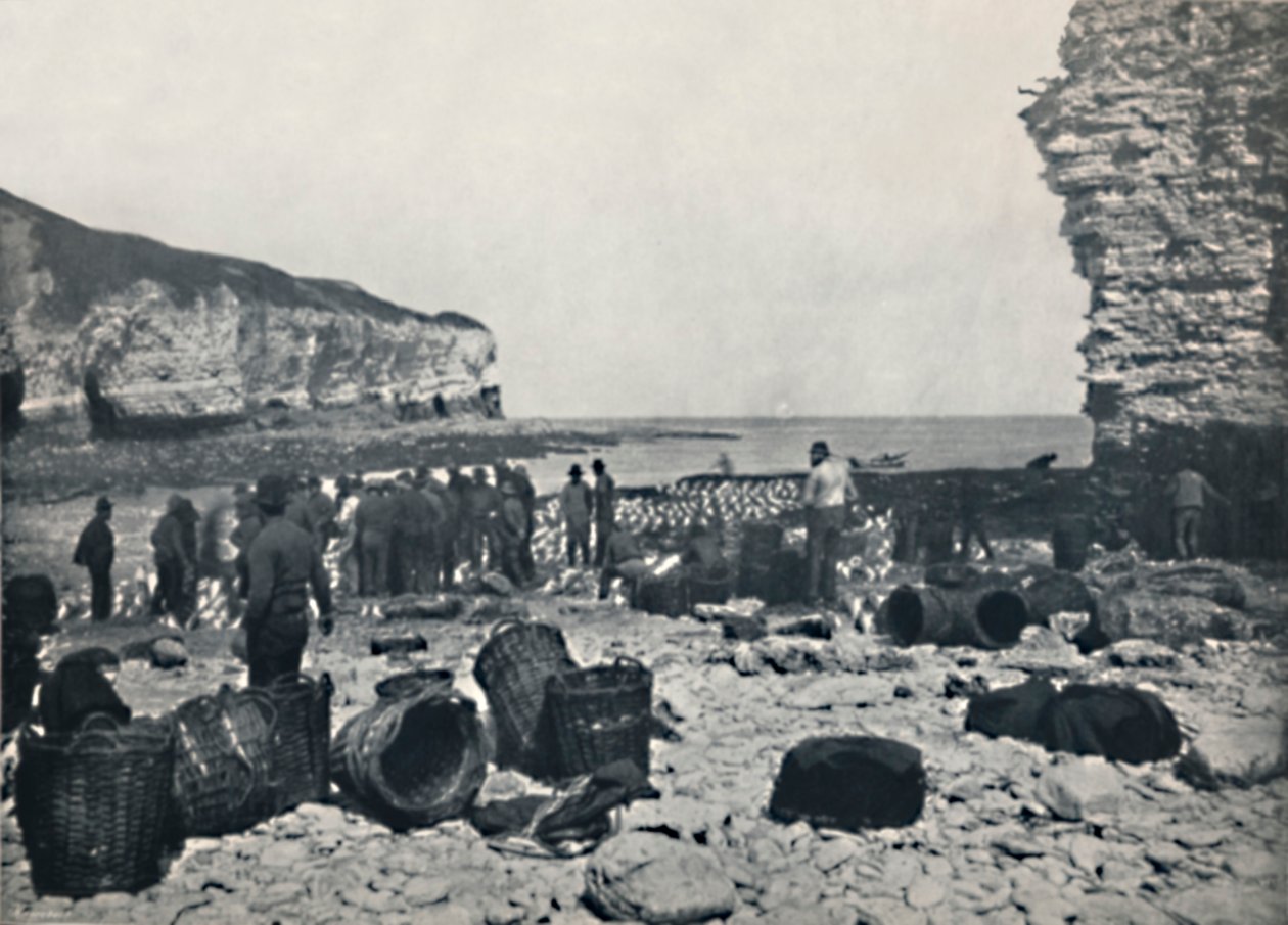 Flamborough – A halászok munkában, 1895 alkotó: Unbekannt