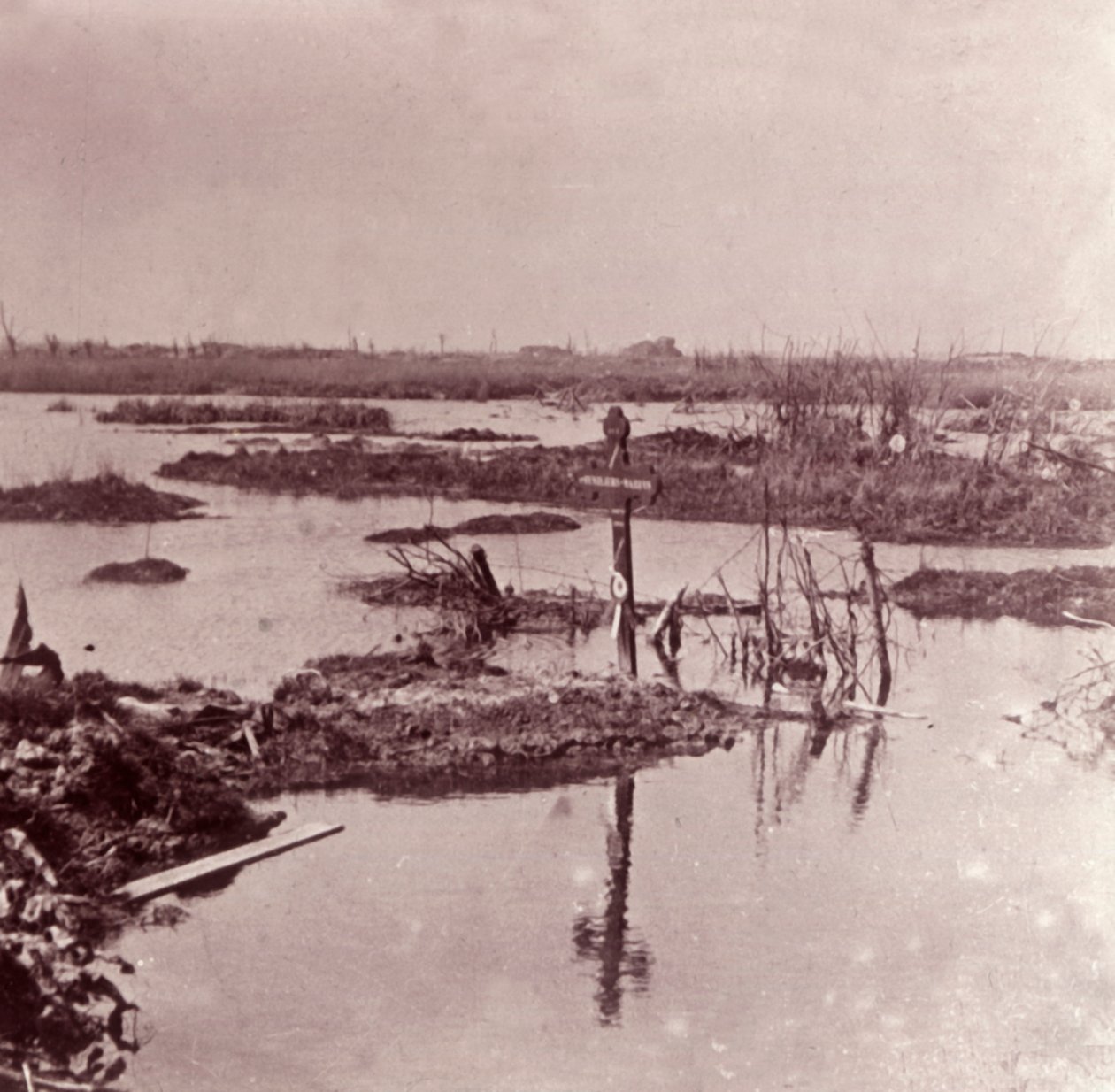 Árvíz, Flandria, Belgium, c1914-c1918 alkotó: Unbekannt