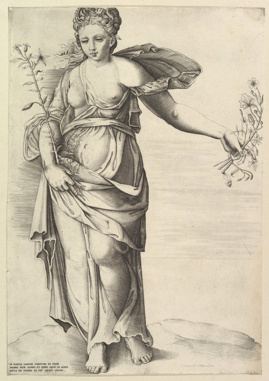 Flóra, kb. 1560-70. alkotó: Unbekannt