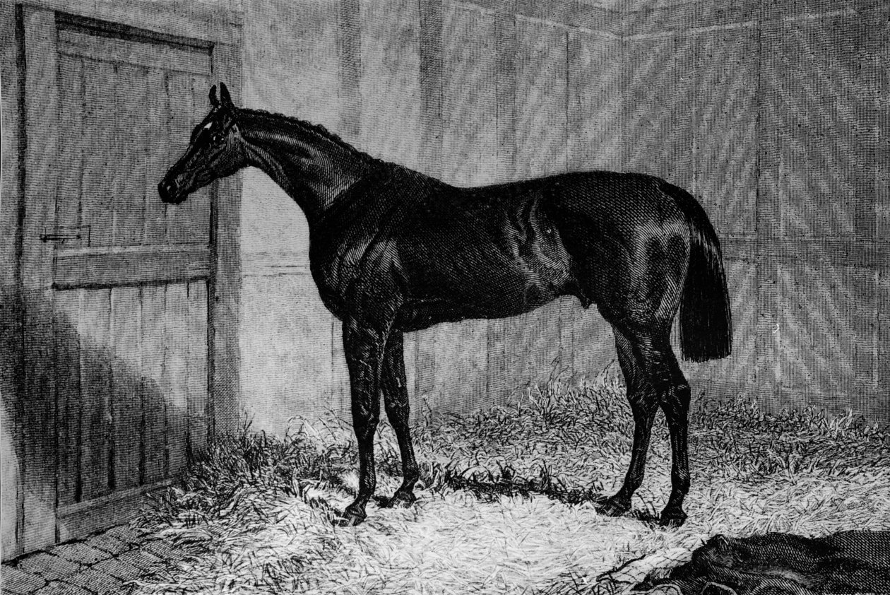 Foig-A-Ballagh, 1841-1860, 1911 alkotó: Unbekannt