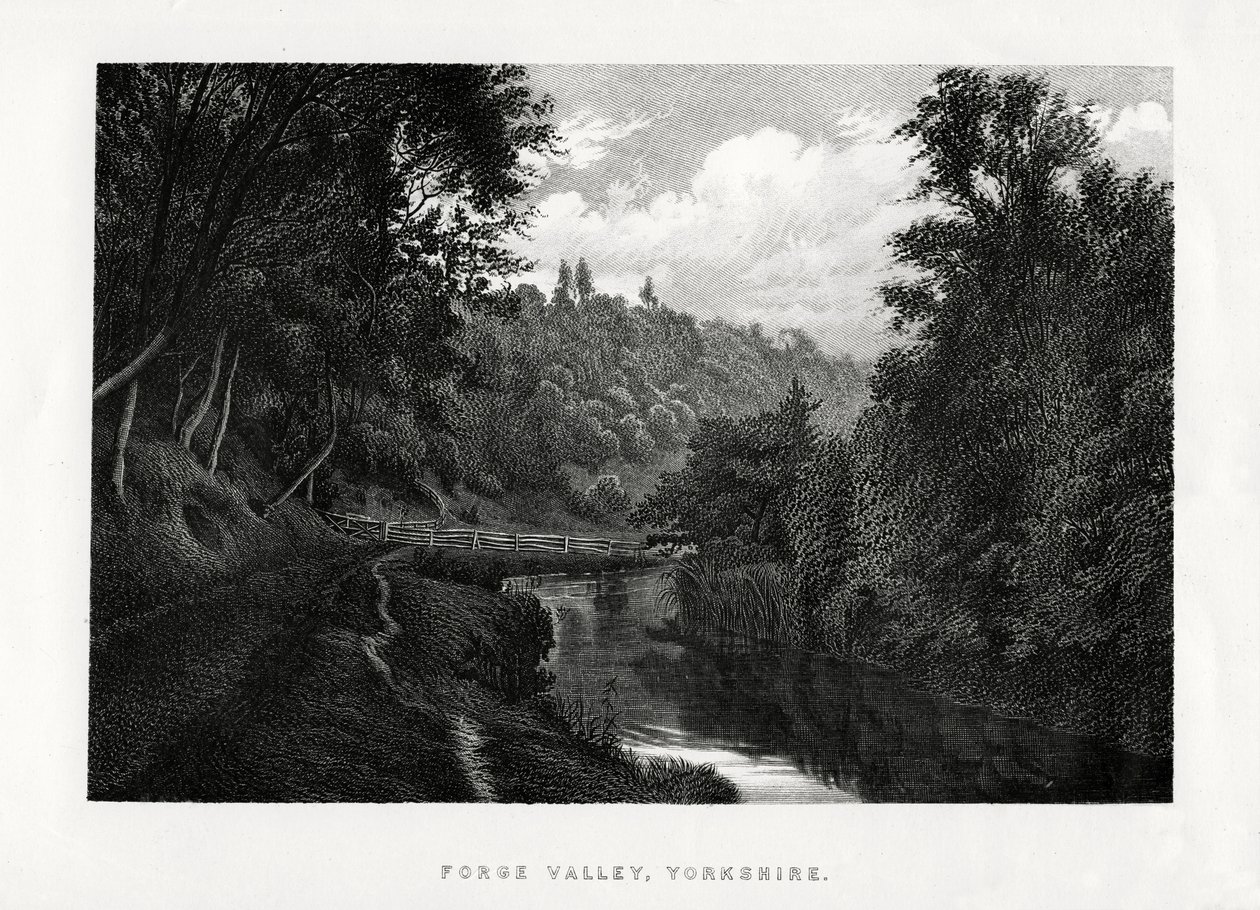 Forge Valley, Yorkshire, 1896 alkotó: Unbekannt