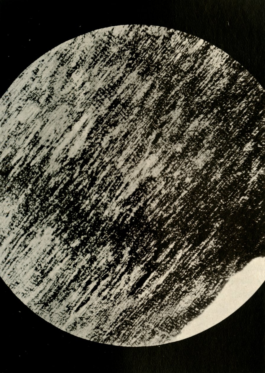 Fosszilis fa homokkőben, egy morénából a déli szélesség 85°-án, 1908, 1909. alkotó: Unbekannt