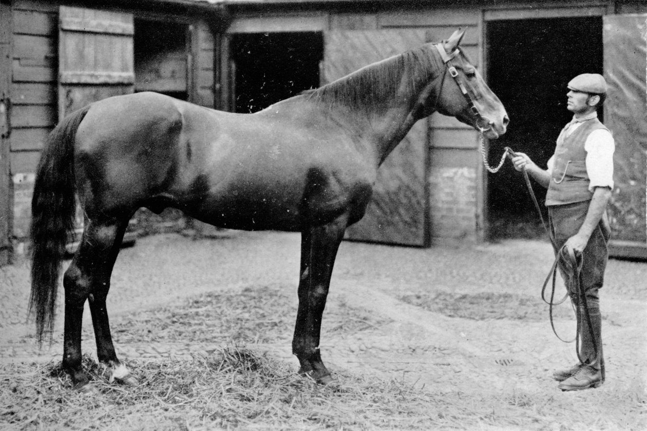 Foxhall, 1880-1904, 1911 alkotó: Unbekannt