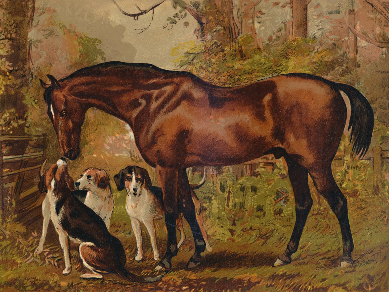 Szabadkőműves - A néhai Hugo Meynell kedvenc vadásza Ingram Esq., 1879. alkotó: Unbekannt