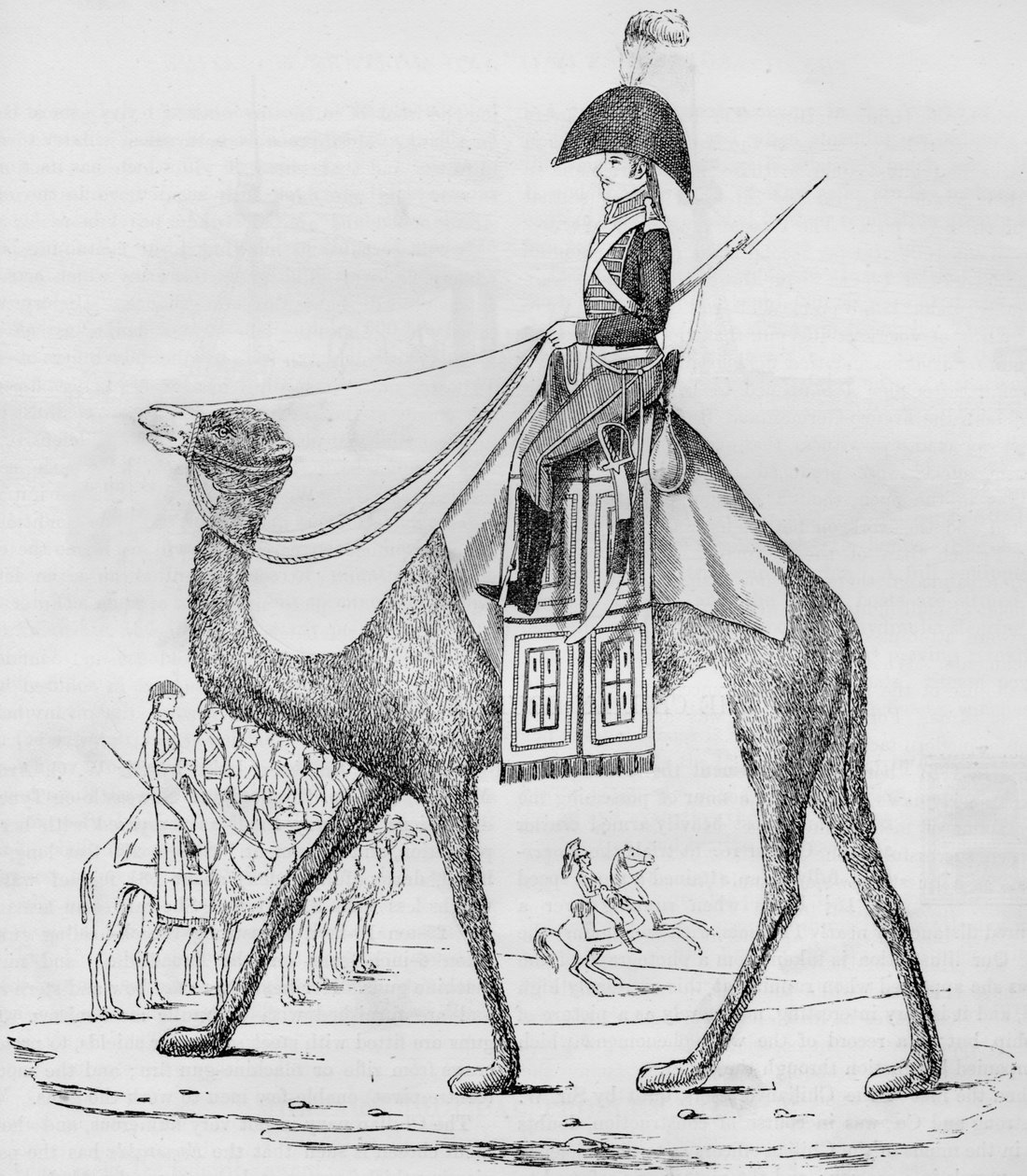 francia dromedár ezred. Elfogták egy konvojjal a líbiai sivatagban, 1801. május 1884. alkotó: Unbekannt