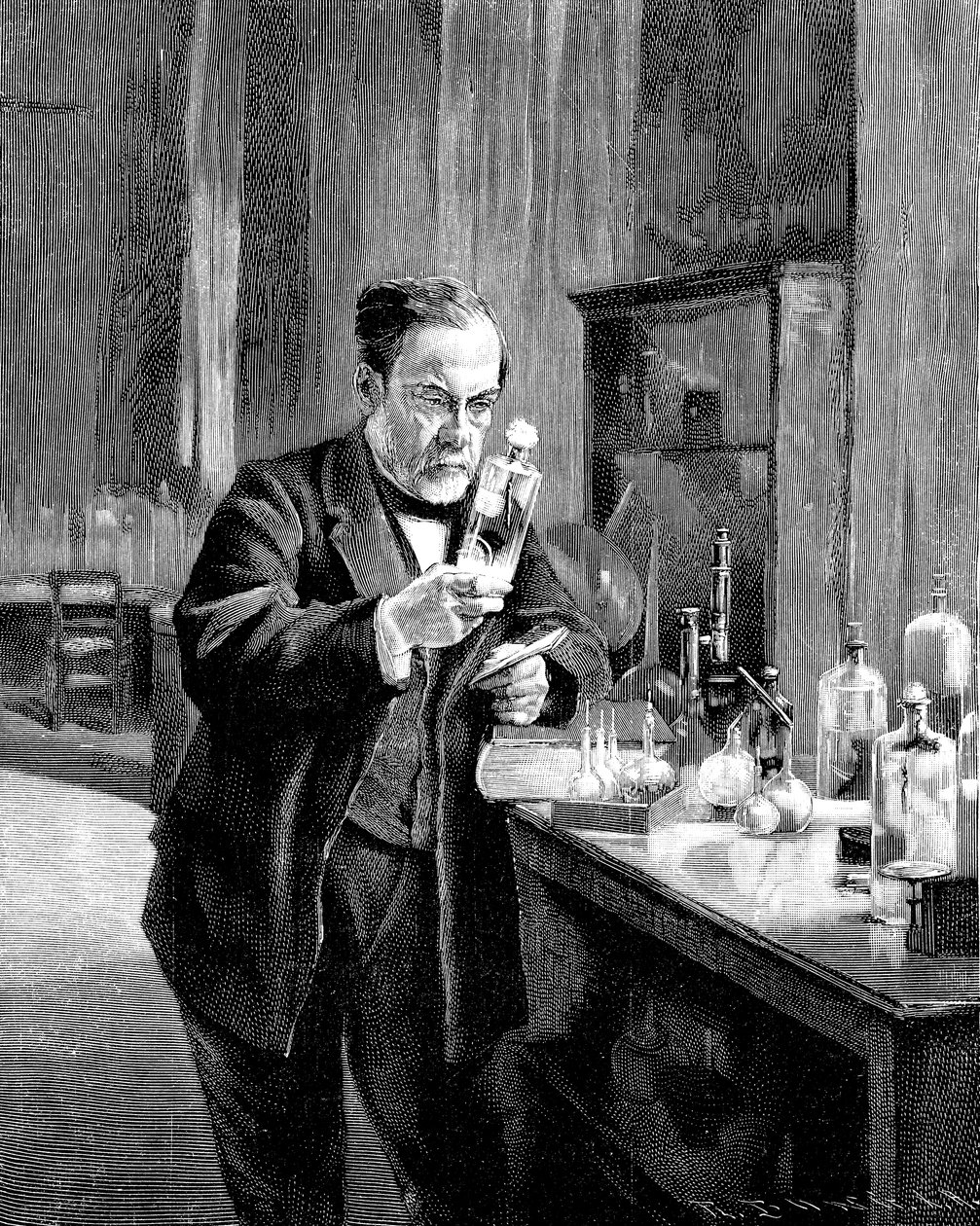 Louis Pasteur francia kémikus és mikrobiológus 18221895 alkotó: Unbekannt