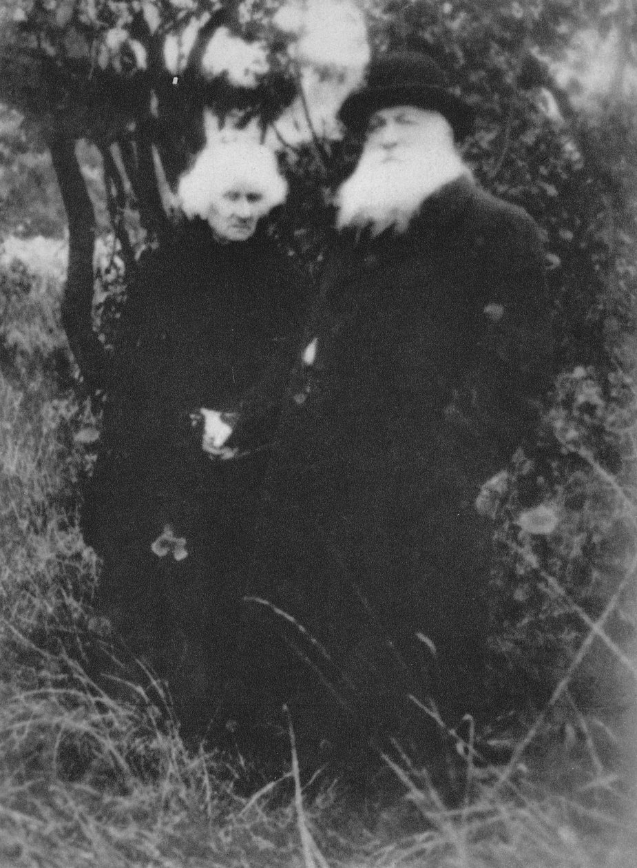 Auguste Rodin francia szobrász a meudoni villája parkjában fényképezett, 1916, 1939 alkotó: Unbekannt