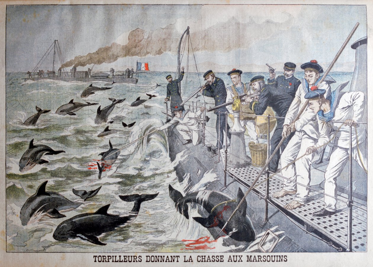 Barnadelfin vadászó francia torpedócsónakok, 1903 alkotó: Unbekannt