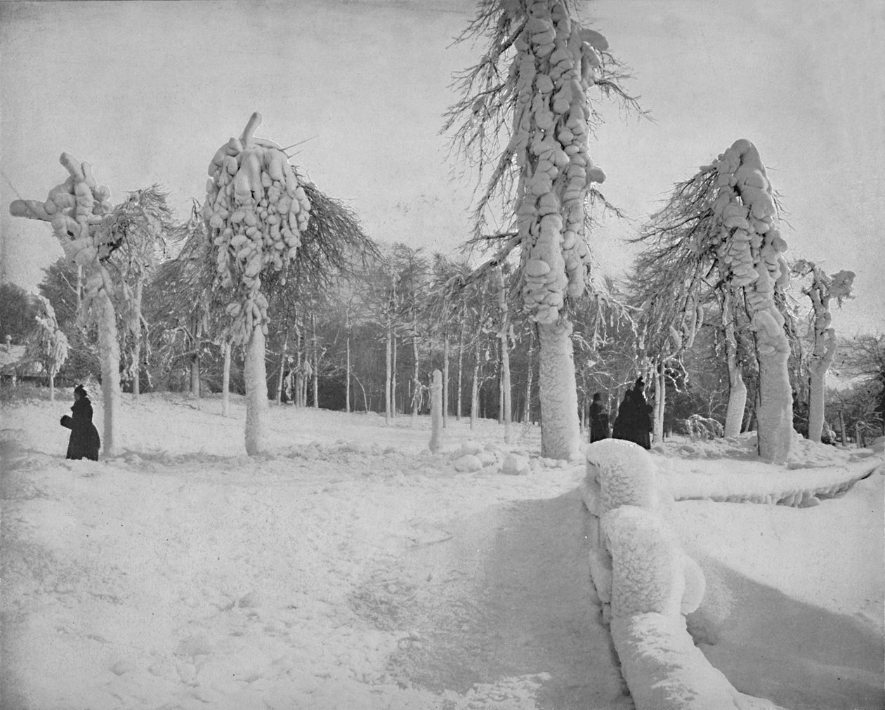 Frost Work in Prospect Park, Niagara, 1897. alkotó: Unbekannt