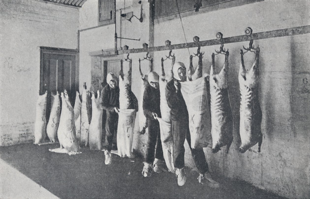 Fagyasztott hús, 1923. alkotó: Unbekannt