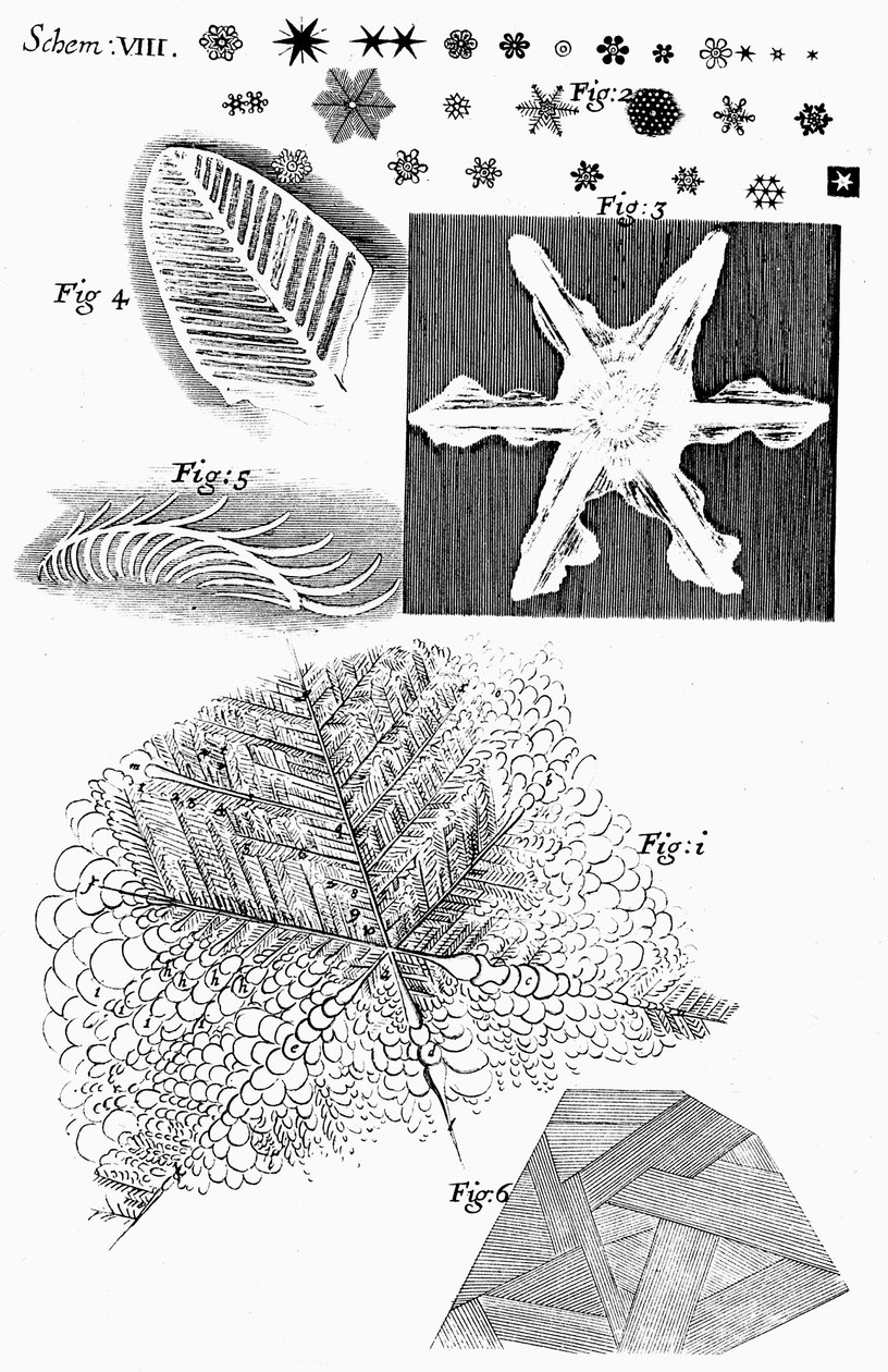 A fagyasztott anyagokat Robert Hooke angol mikroszkóp vizsgálta, 1665 alkotó: Unbekannt