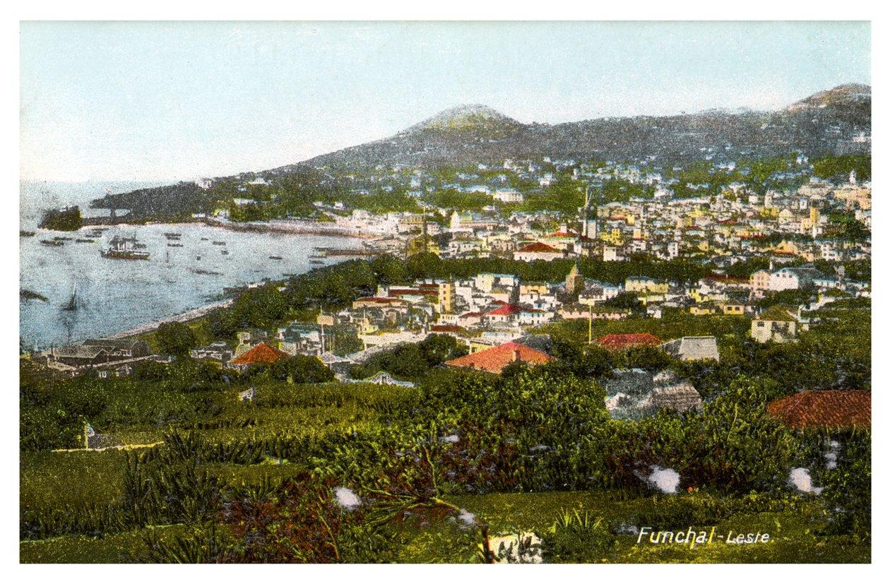 Funchal, Madeira, XX. század eleje alkotó: Unbekannt