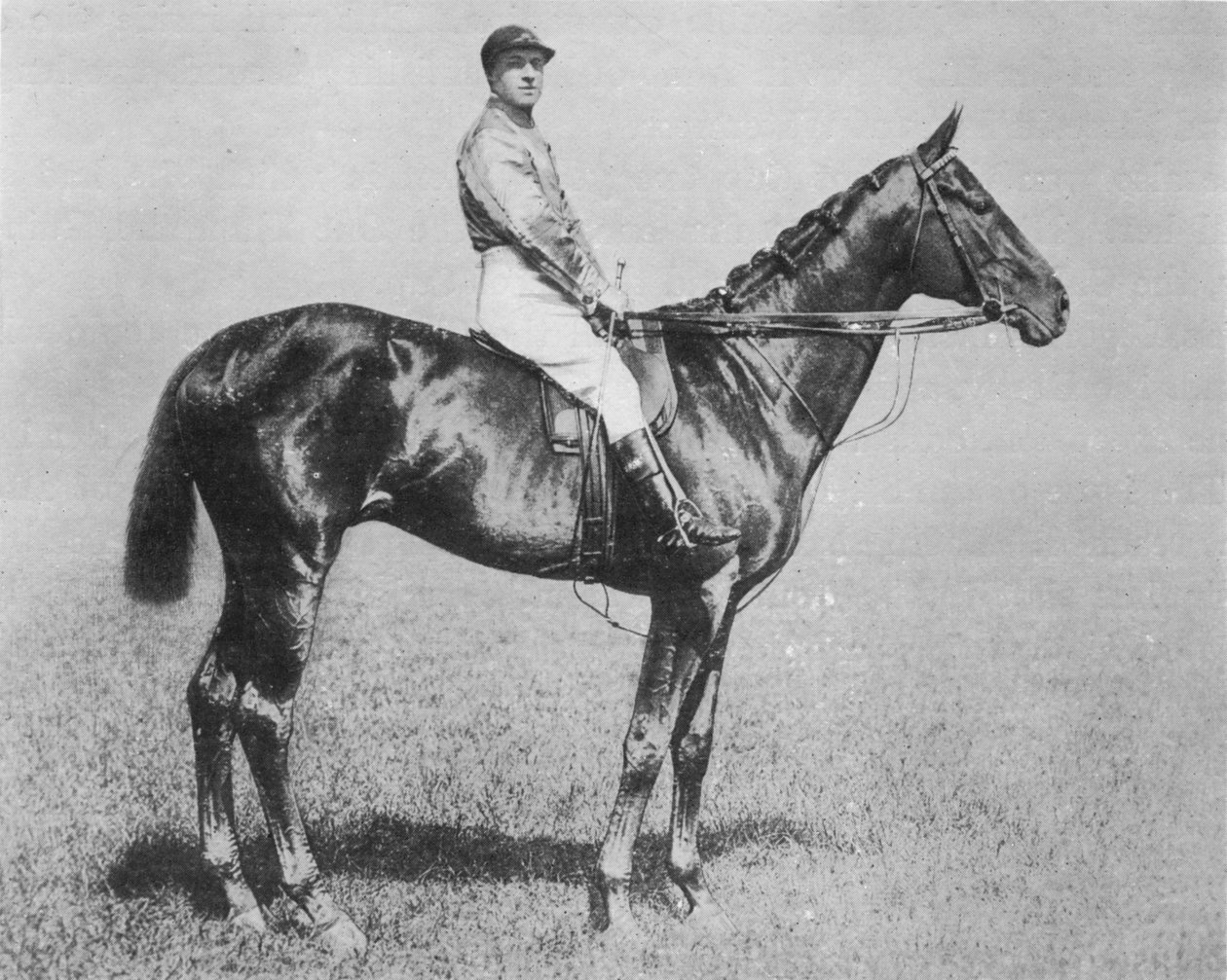 Galtee More, 1894-1917, 1911 alkotó: Unbekannt