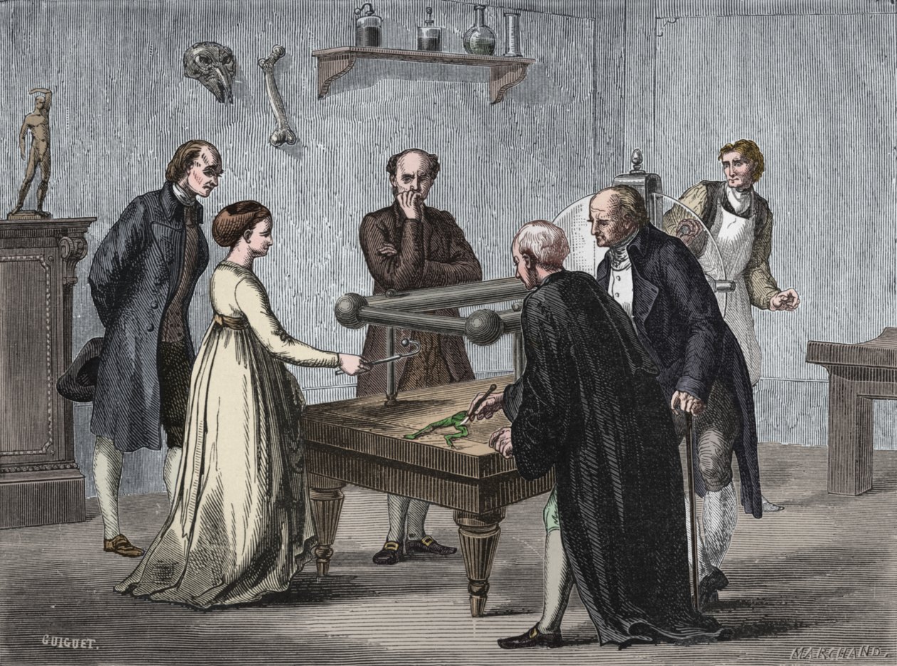 Galvanis felfedezése, 1780 1894 alkotó: Unbekannt