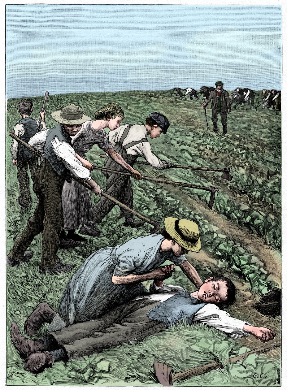 A gyermekmunka bandarendszere, c1885 alkotó: Unbekannt