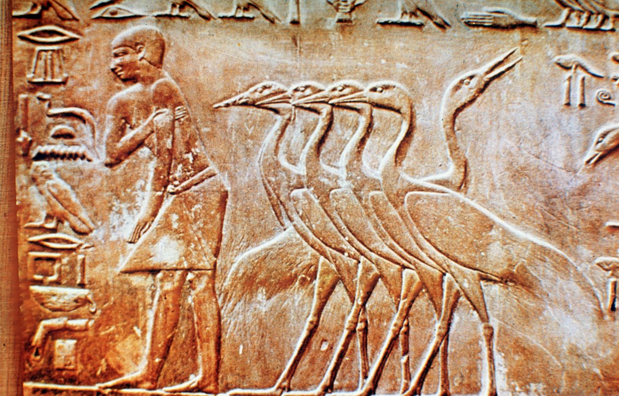 Liba, fali dombormű Ptahhotep sírjából, Szakkara, Egyiptom, ie 24. század alkotó: Unbekannt