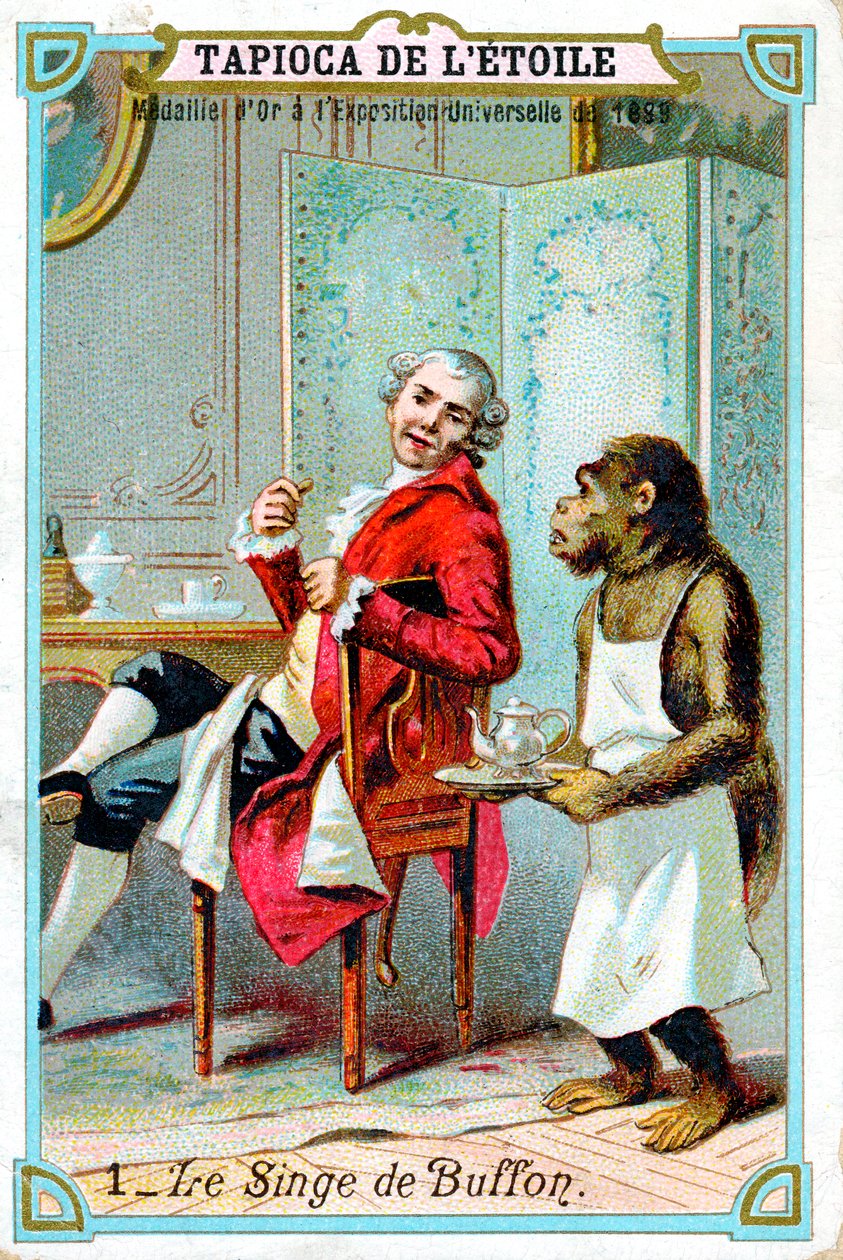 George-Louis Leclerc, Comte de Buffon, 18. századi francia természettudós, 1890 alkotó: Unbekannt